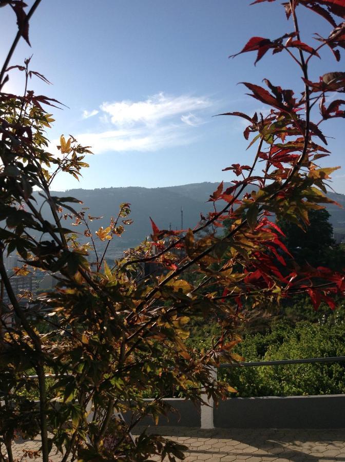 Douro Vally Inn Peso da Regua Exterior photo